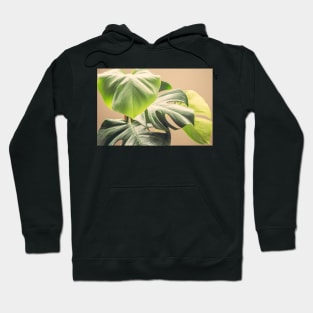 Shades of Green Hoodie